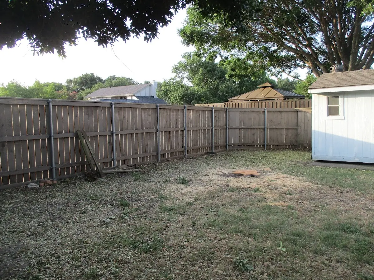 Cleared yard after professional tree removal in Deansboro
